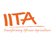 International institute of tropical agriculture (IITA) logo