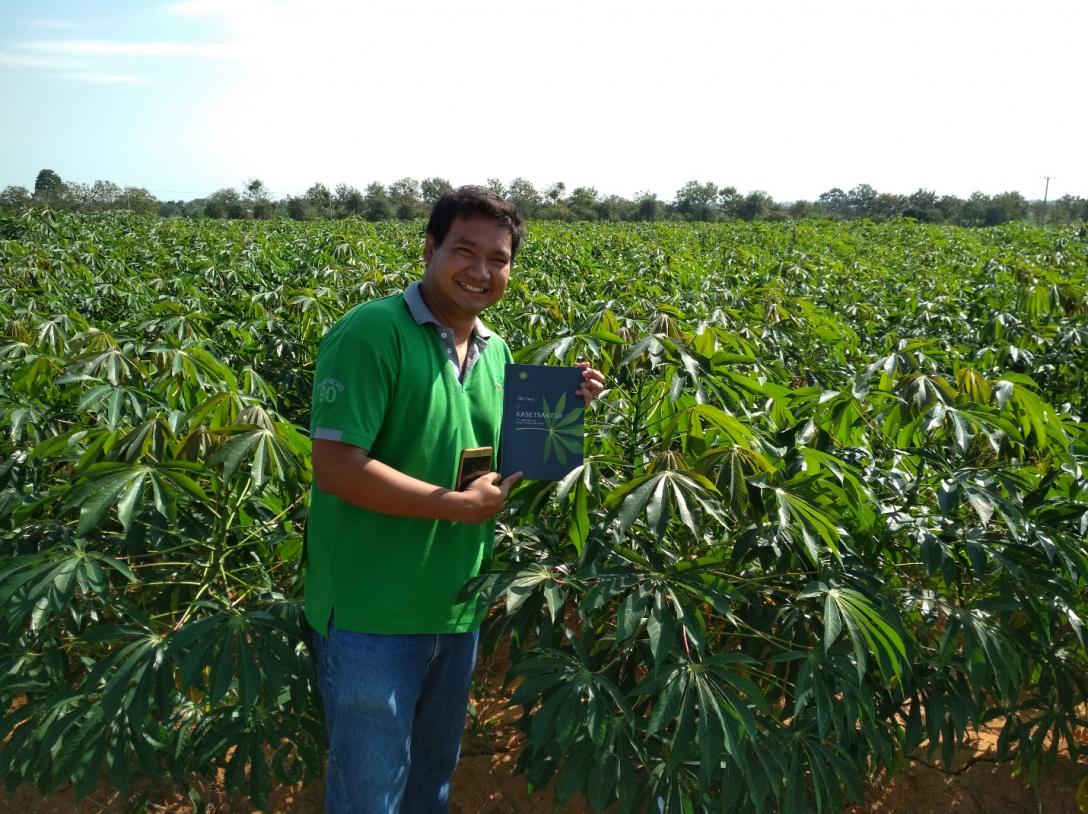 Researcher in front of a cassava field