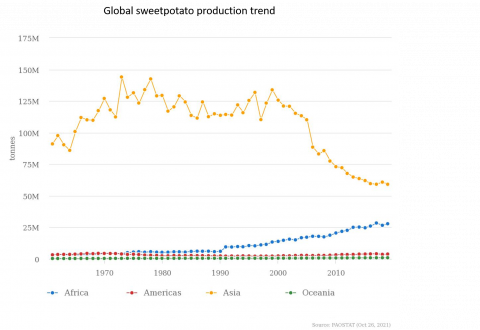 Sweet Potato production trends