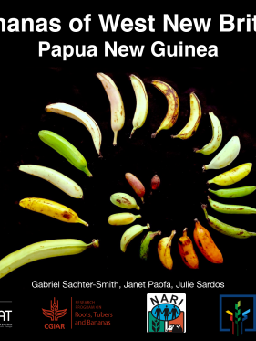 Bananas of West New Britain Papua New Guinea